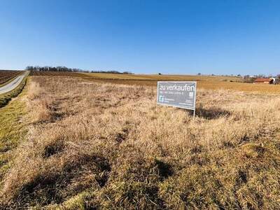 Grundstück kaufen in 7432 Oberschützen