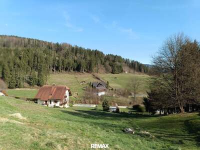 Grundstück kaufen in 8152 Södingberg