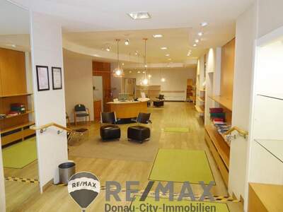 Gewerbeobjekt mieten in 2340 Mödling (Bild 5)