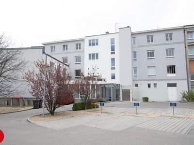 Büro / Praxis mieten in 2320 Schwechat (Bild 1)