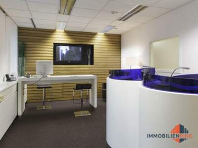 Gewerbeobjekt mieten in 1060 Wien (Bild 4)