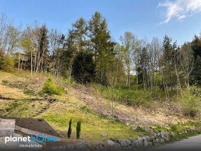 Grundstück kaufen in 6143 Schönberg (Bild 5)