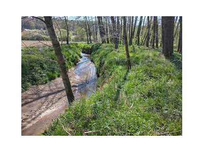 Grundstück provisionsfrei kaufen in 8082 Kirchbach