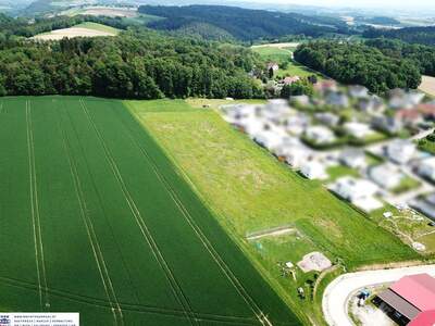 Grundstück kaufen in 4223 Ruhstetten (Bild 1)