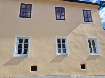 Anlageobjekt kaufen in 8250 Vorau (Bild 3)