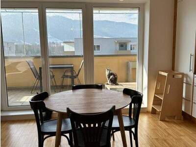 Terrassenwohnung kaufen in 4560 Kirchdorf (Bild 3)