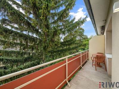 Terrassenwohnung kaufen in 2500 Baden (Bild 1)