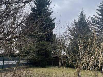 Haus kaufen in 4061 Pasching