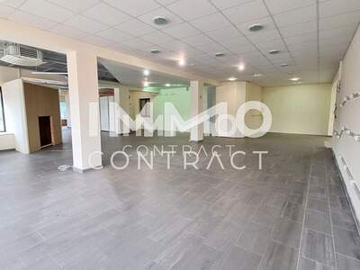 Gewerbeobjekt mieten in 3370 Ybbs (Bild 3)