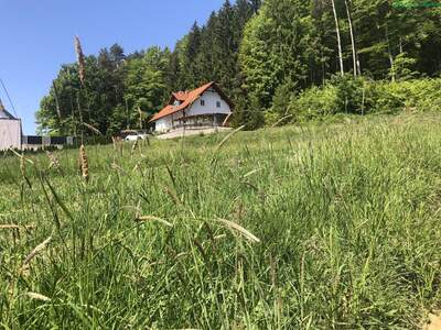 Grundstück kaufen in 8411 Hengsberg (Bild 1)