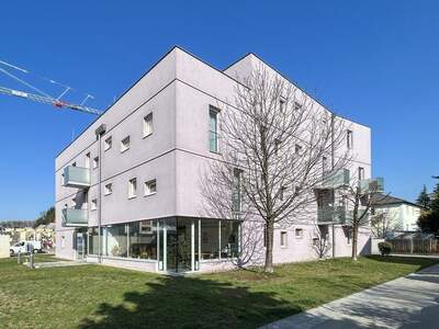 Wohnung mit Balkon mieten in 2104 Spillern (Bild 3)