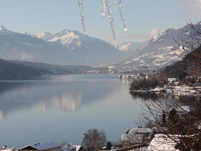 Gewerbeobjekt kaufen in 9872 Dellach