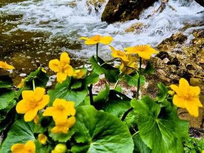 Eigentumswohnung in 8020 Graz