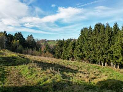 Grundstück kaufen in 8301 Kainbach (Bild 2)