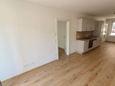 Terrassenwohnung mieten in 8020 Graz (Bild 3)