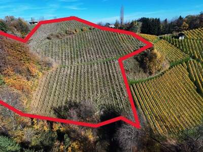 Gewerbeobjekt kaufen in 8462 Gamlitz