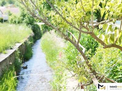 Grundstück kaufen in 7433 Mariasdorf