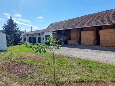 Mehrfamilienhaus kaufen in 2253 Weikendorf (Bild 1)