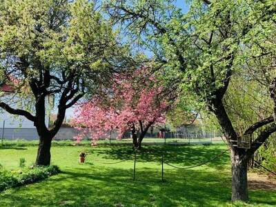 Haus kaufen in 2130 Mistelbach
