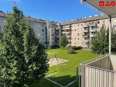 Terrassenwohnung mieten in 4020 Linz (Bild 2)