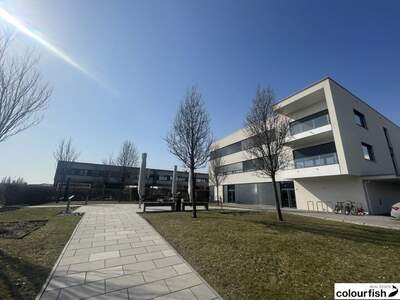 Gewerbeobjekt mieten in 1220 Wien (Bild 1)