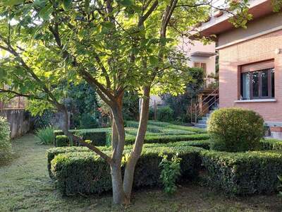 Altbauwohnung kaufen in 34134 Trieste (Bild 1)