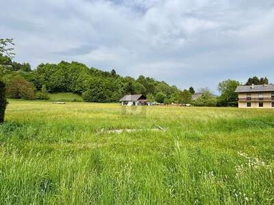 Grundstück kaufen in 9081 Reifnitz (Bild 3)