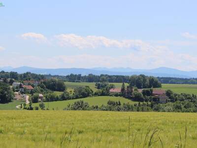Grundstück kaufen in 4491 Niederneukirchen (Bild 3)