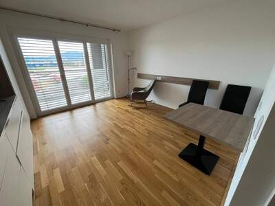 Wohnung provisionsfrei mieten in 8055 Graz