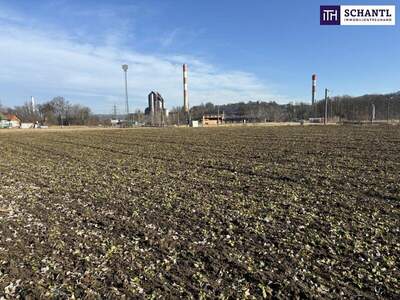 Grundstück kaufen in 8402 Werndorf (Bild 2)