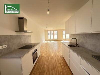 Terrassenwohnung mieten in 1230 Wien (Bild 3)