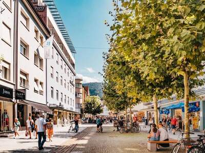 Wohnung provisionsfrei mieten in 6900 Bregenz