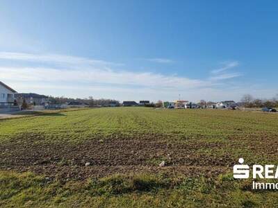 Grundstück kaufen in 4614 Marchtrenk (Bild 3)