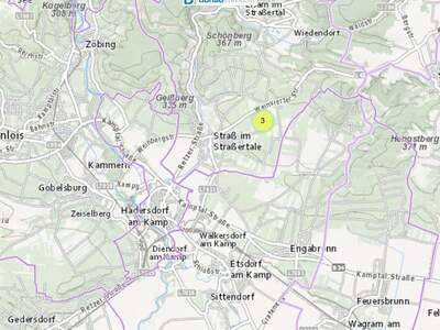 Gewerbeobjekt kaufen in 3491 Straß (Bild 1)