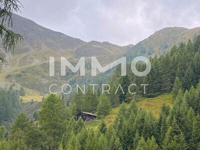 Immobilie kaufen in 9981 Kals (Bild 1)