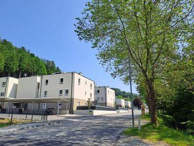 Mietwohnung in 2842 Edlitz (Bild 2)