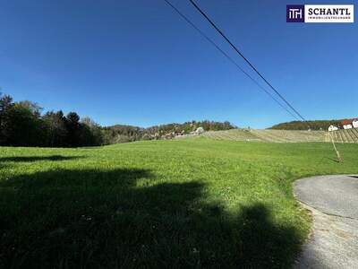 Grundstück kaufen in 8463 Fötschach (Bild 3)