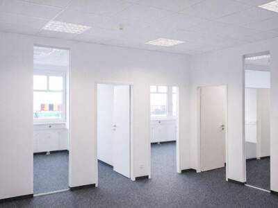 Büro / Praxis mieten in 2351 Wr. Neudorf (Bild 4)