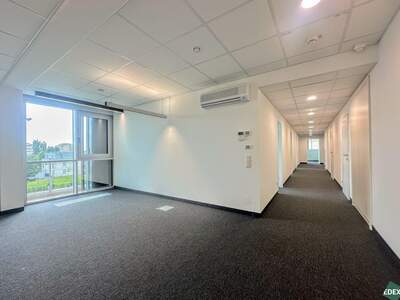 Gewerbeobjekt mieten in 2351 Wiener Neudorf (Bild 5)