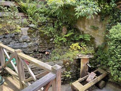 Immobilie kaufen in 9565 Reichenau (Bild 3)