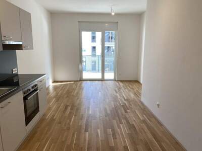 Terrassenwohnung mieten in 1220 Wien (Bild 2)