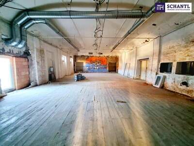 Wohnanlage kaufen in 1230 Wien (Bild 4)