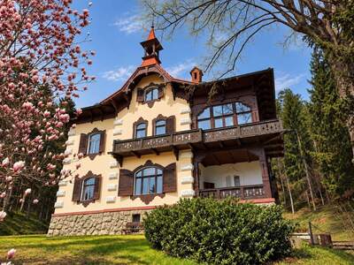 Haus kaufen in 2823 Pitten (Bild 1)