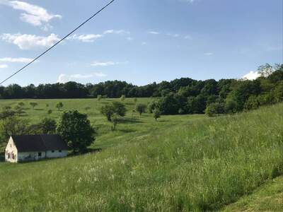 Gewerbeobjekt kaufen in 8382 Mogersdorf