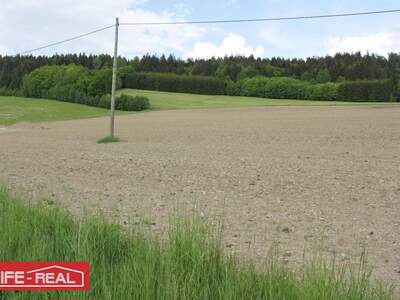 Grundstück kaufen in 4170 St. Oswald