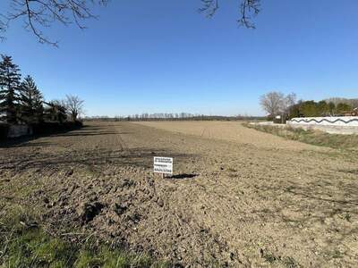 Grundstück kaufen in 7201 Neudörfl