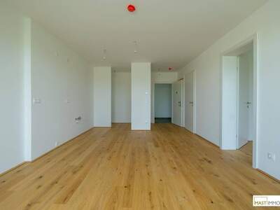 Wohnung kaufen in 2104 Spillern