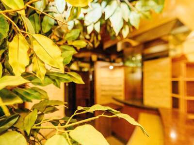 Gewerbeobjekt kaufen in 8010 Graz (Bild 4)