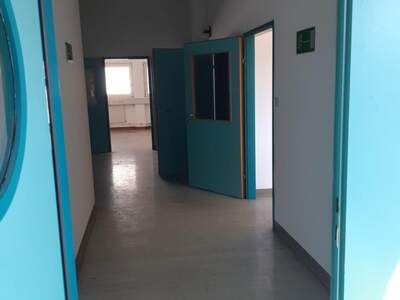 Gewerbeobjekt mieten in 3580 Horn (Bild 4)