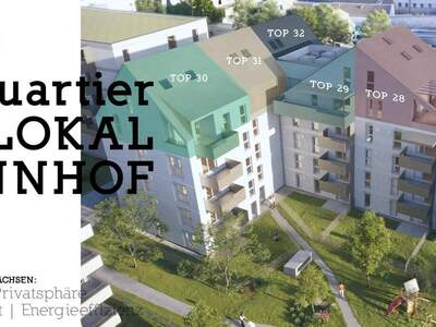 Wohnung kaufen in 4600 Wels